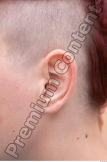 Ear texture of street references 437 0001